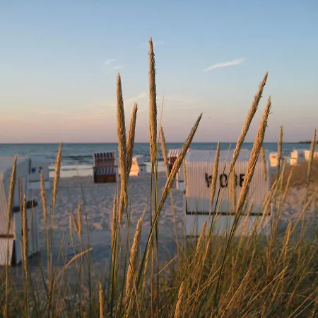 Strandhafer * בולטנהאגן